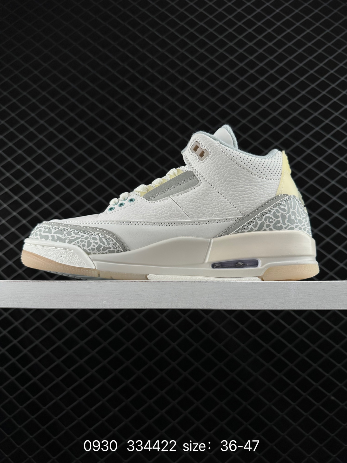 Nike Air Jordan 3 Retro SE